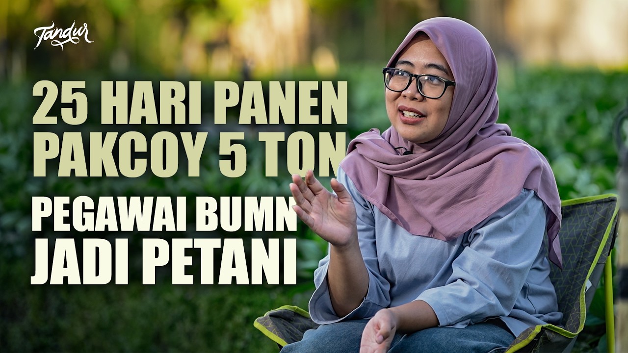 Pegawai BUMN Nyambi Bertani Pakcoy, Sekali Panen 5 Ton Raup 17 Juta Perbulan cover art