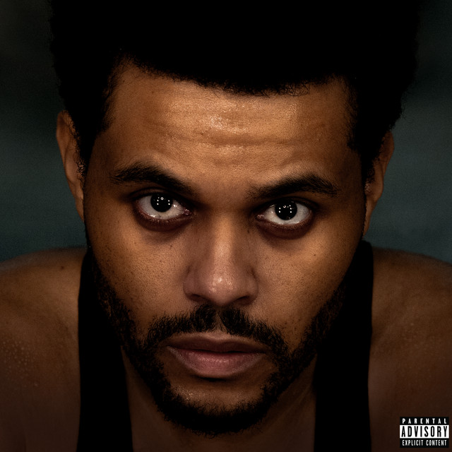 I Can't Fucking Sing cover art