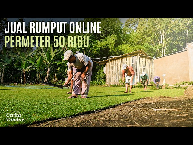 Dari Jualan Rumput Bisa Beli Mobil & Haji, Perawatan Mudah 1 Kali Pupuk cover art