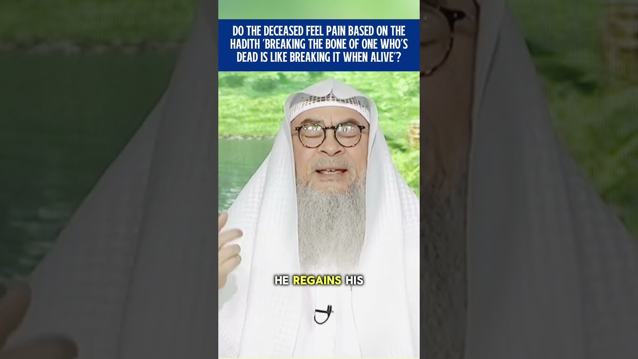 Does the dead body feel pain || assim al hakeem cover art