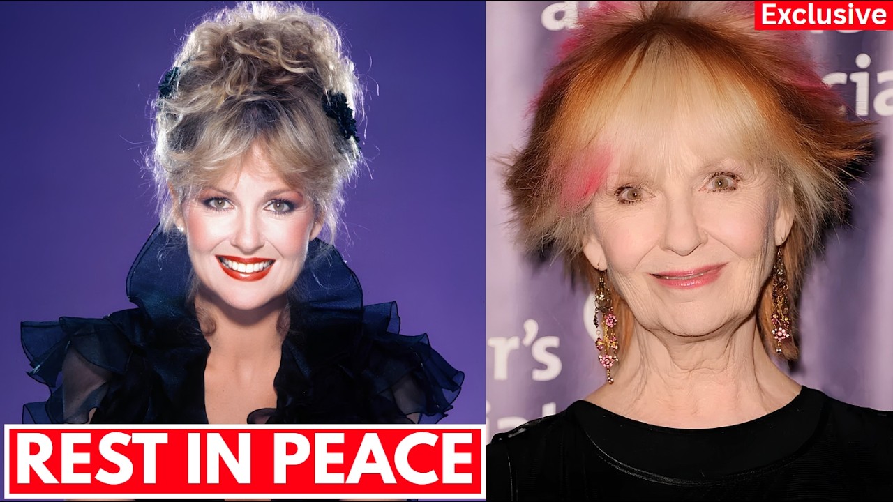 Shelley Fabares Dies at 82: ‘Johnny Angel’ & Donna Reed Star cover art