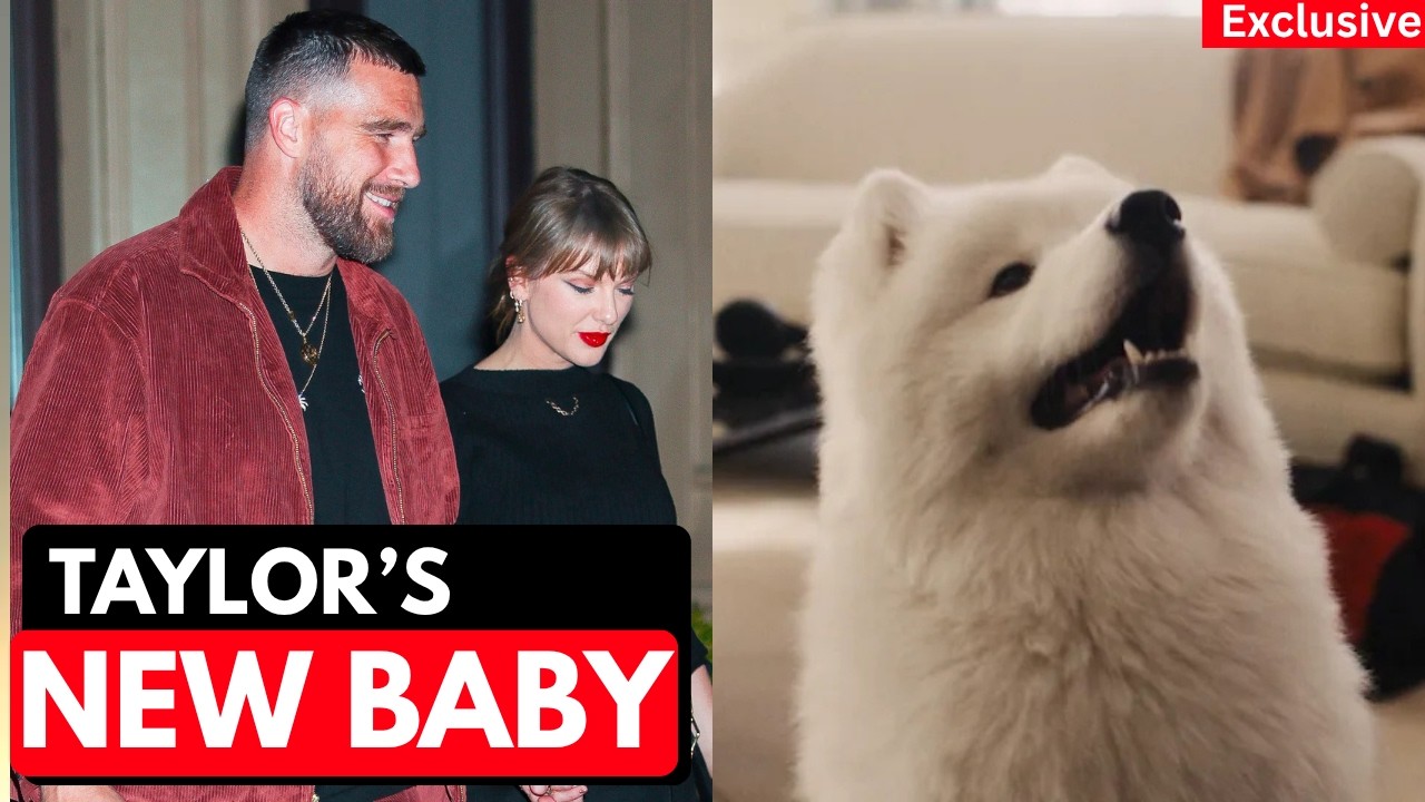 Travis Kelce New Dog Revealed: Taylor Swift’s Samoyed Wendy cover art