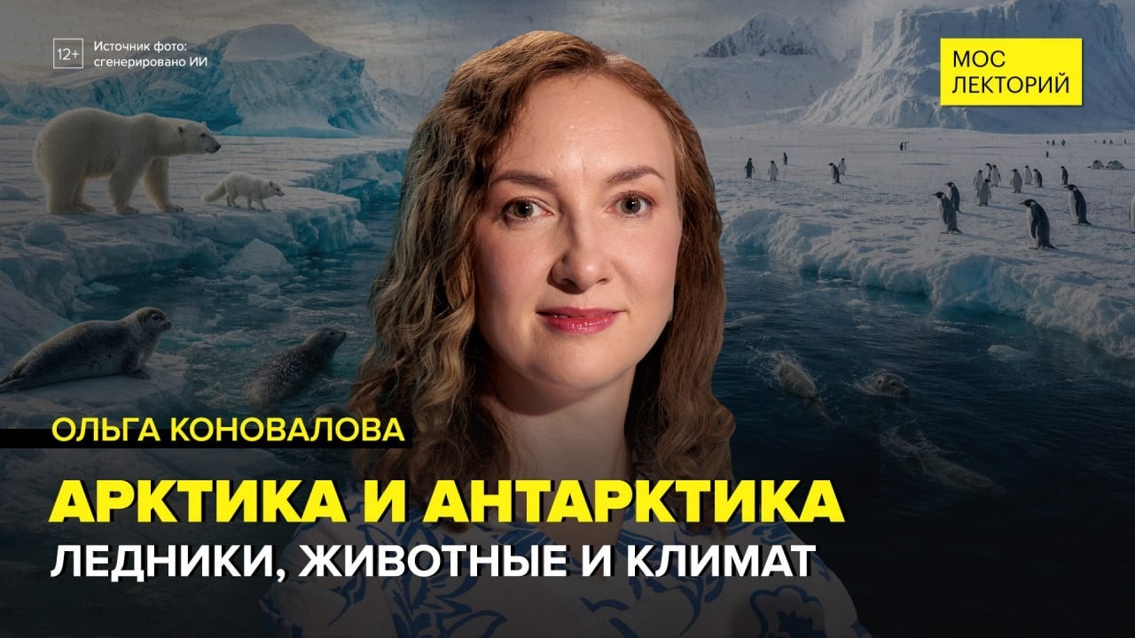 Тайны Арктики и Антарктиды | Ольга Коновалова Лекция 2026 | Мослекторий cover art