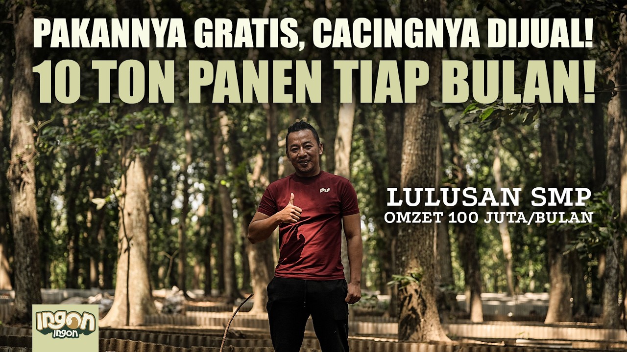 Bisnis yang Menjijikkan Tapi Menjanjikan! Budidaya Cacing ANC Raup 100 Juta Perbulan cover art