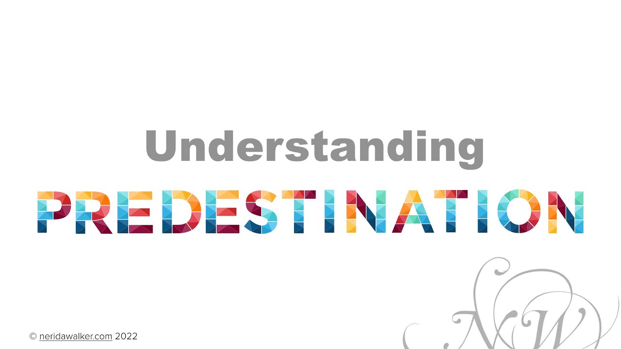 Understanding Predestination cover art