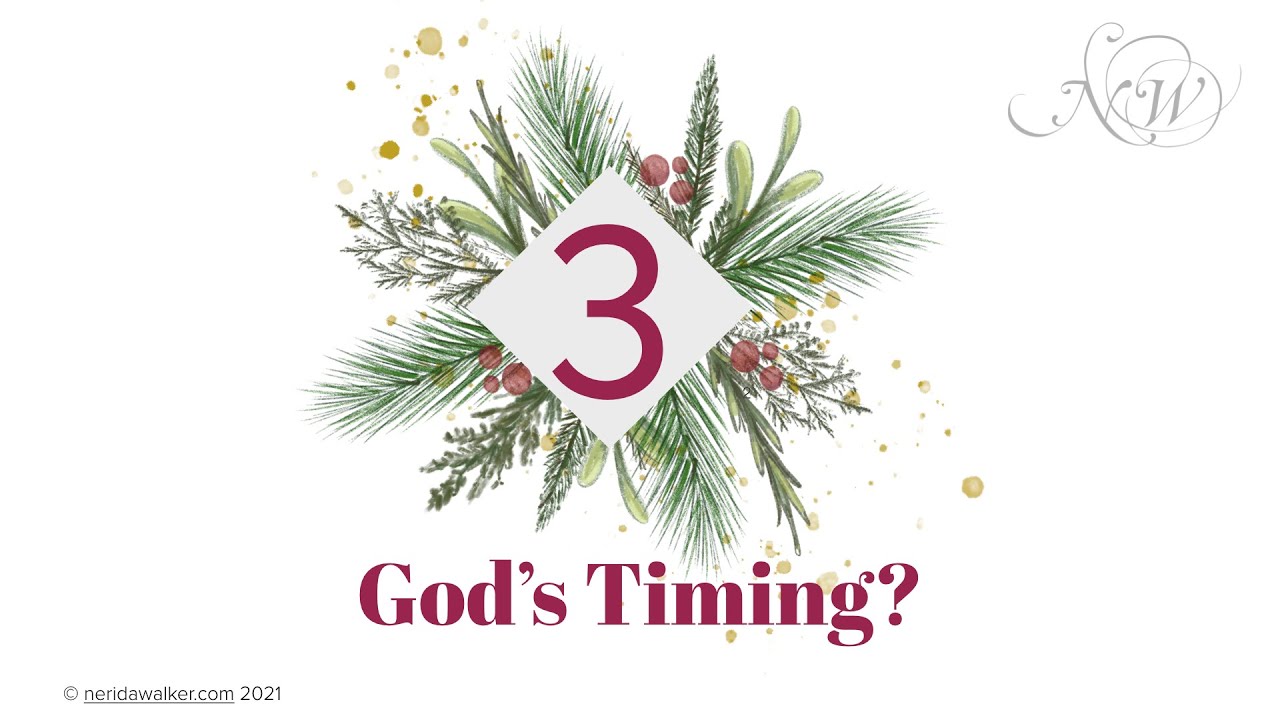Fruitfulness Day 3 - God's Timing cover art