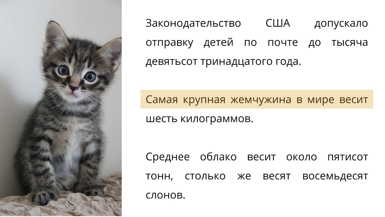 RUSSIAN READING AND LISTENING PRACTICE // Learn Russian through stories #5 cover art