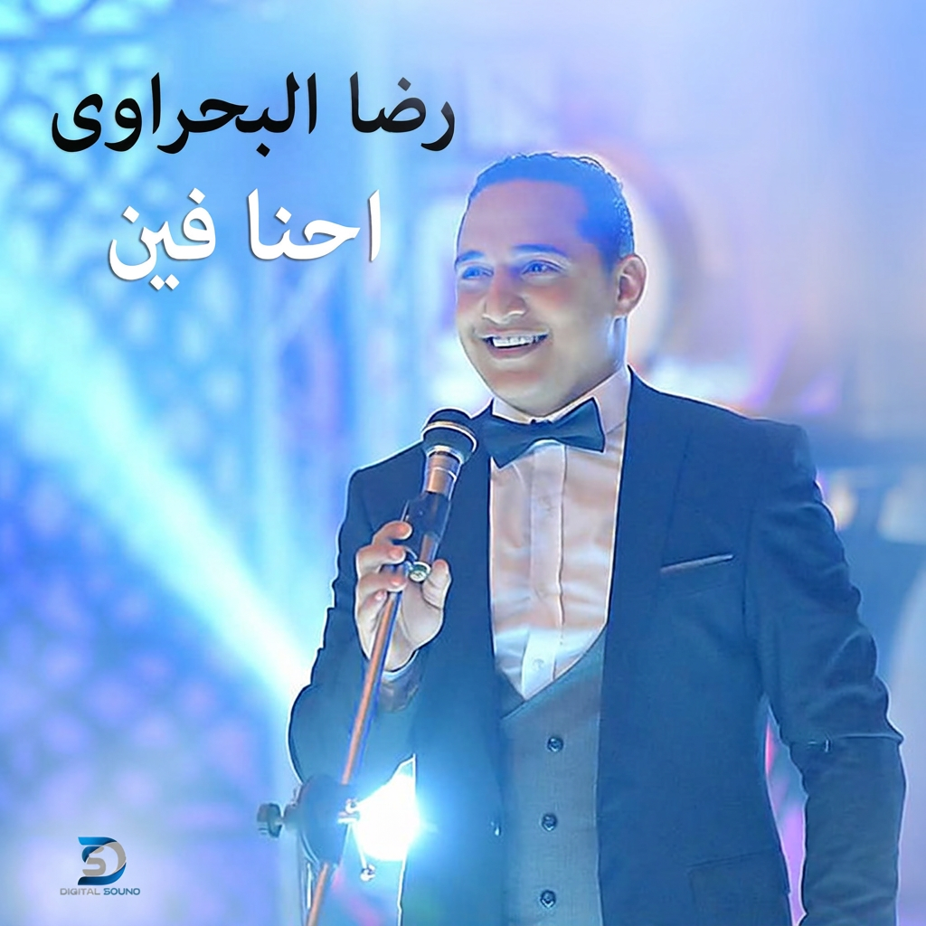 Ehna Fein cover art