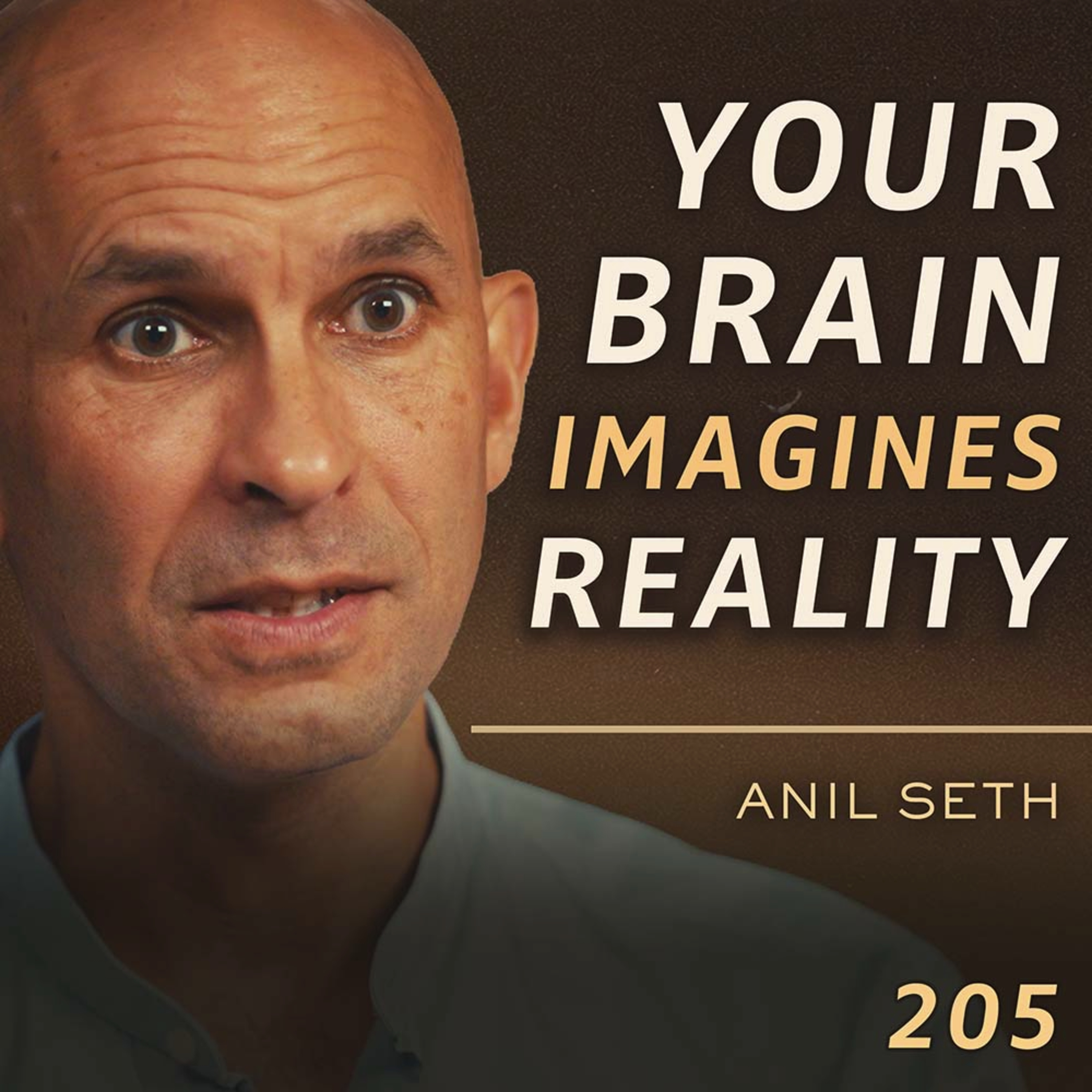 E205 - Anil Seth: Your Perception of Reality & Self Is a Hallucination cover art