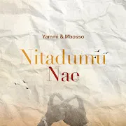 Nitadumu Nae cover art