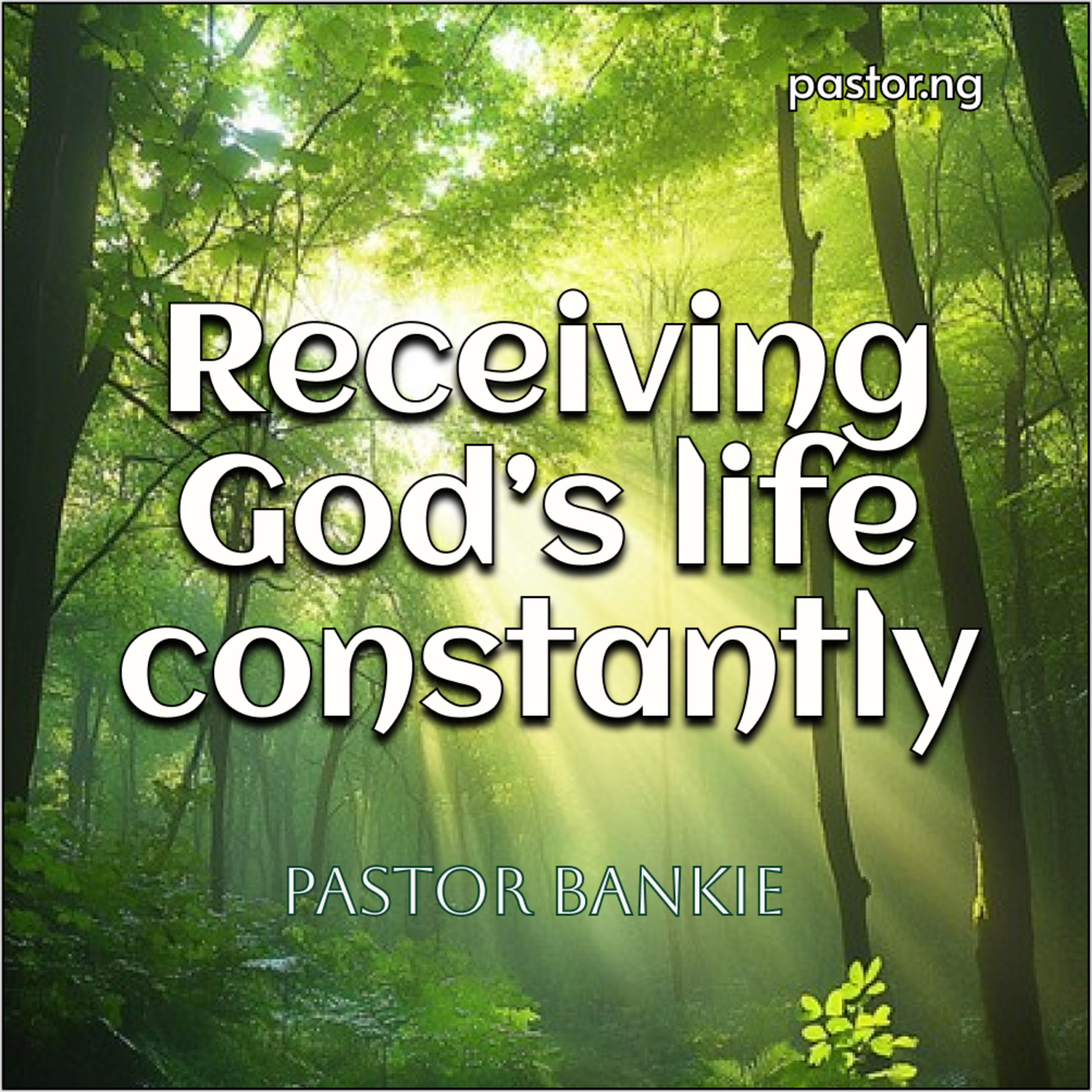 The effect of worship (Receiving God’s life constantly - 1) cover art