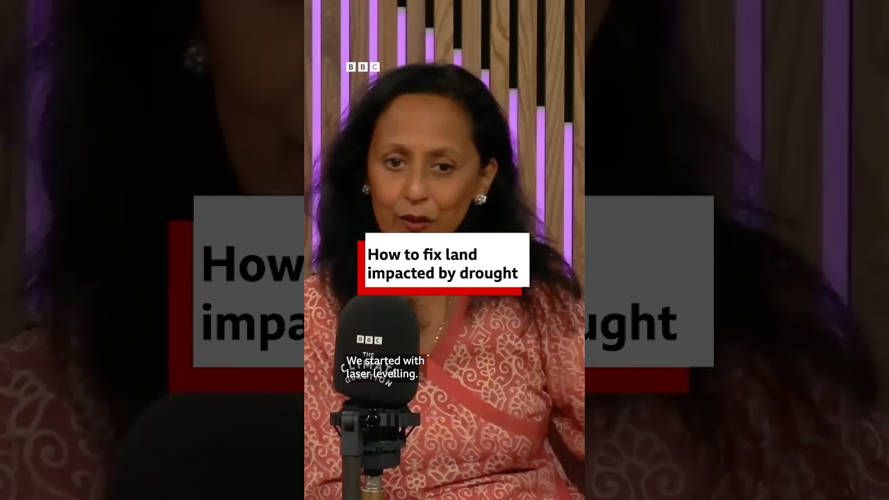 How do you fix land impacted by drought? - BBC World Service #shorts cover art
