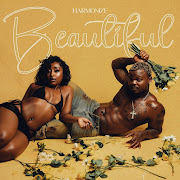 Beautiful cover art