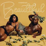 Beautiful cover art