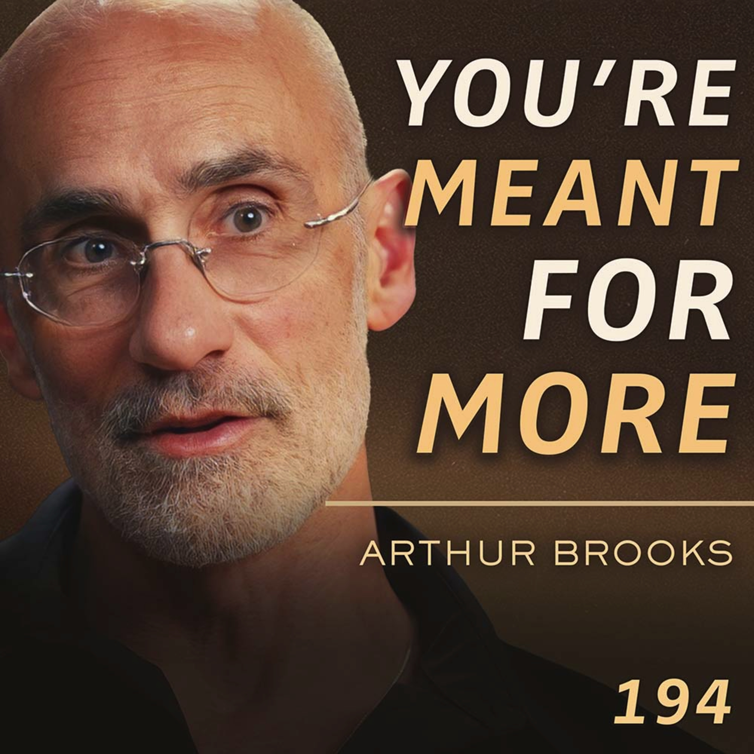E194 - Arthur Brooks: How To Find The Meaning of Your Life cover art