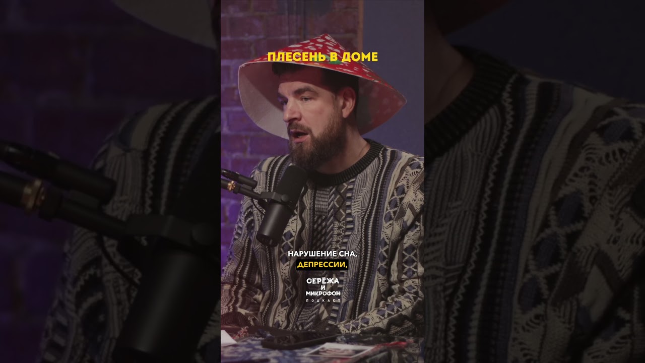Если в доме плесень — меняйте дом cover art