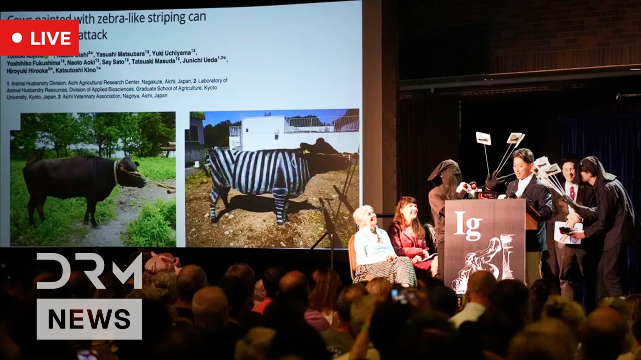 LIVE: Bizarre Scientific Discoveries Take Center Stage at 2026 Ig Nobel Prize Ceremony | AI1N cover art
