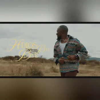 Adios Bye Bye cover art