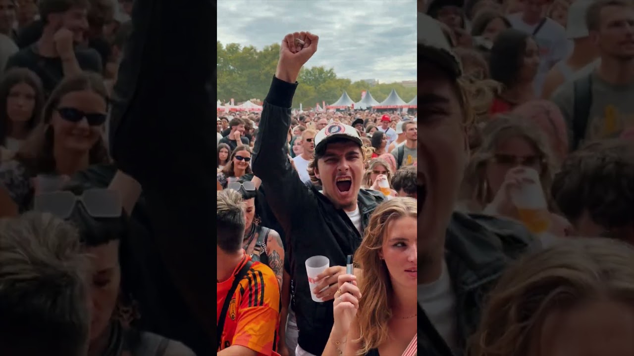 Le renard 🦊 est sorti de sa tanière pour mettre la pagaille ! #Guizmo #festival #music cover art