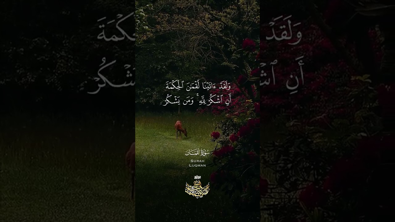 { وَلَقَدْ آتَيْنَا لُقْمَانَ الْحِكْمَةَ } cover art