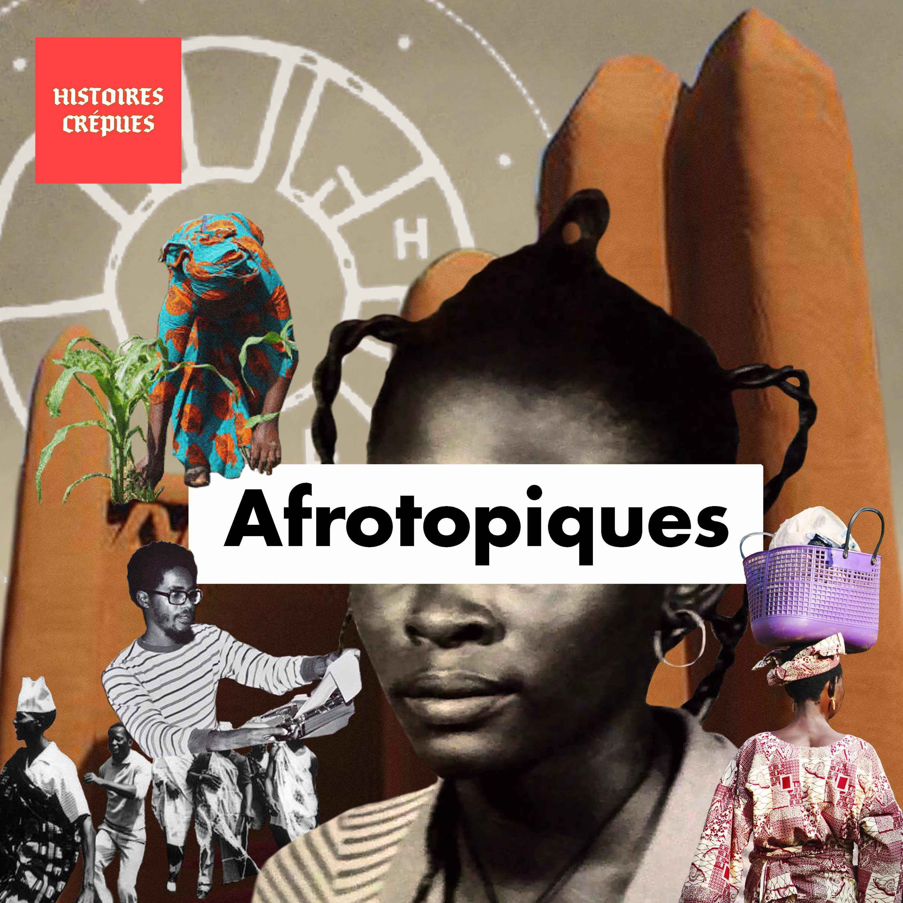 Mariam Sow - Organiser l'échelle des communautés cover art