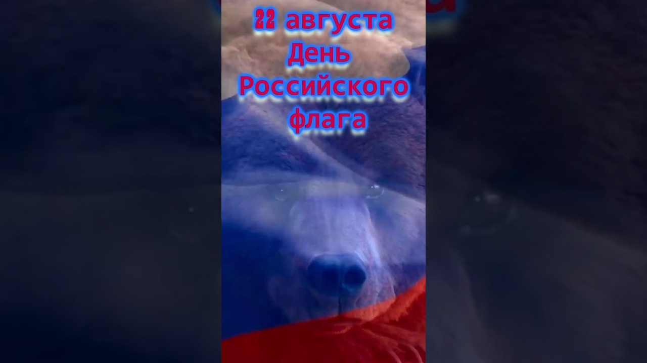 22 августа-День Российского флага 🇷🇺💖 cover art