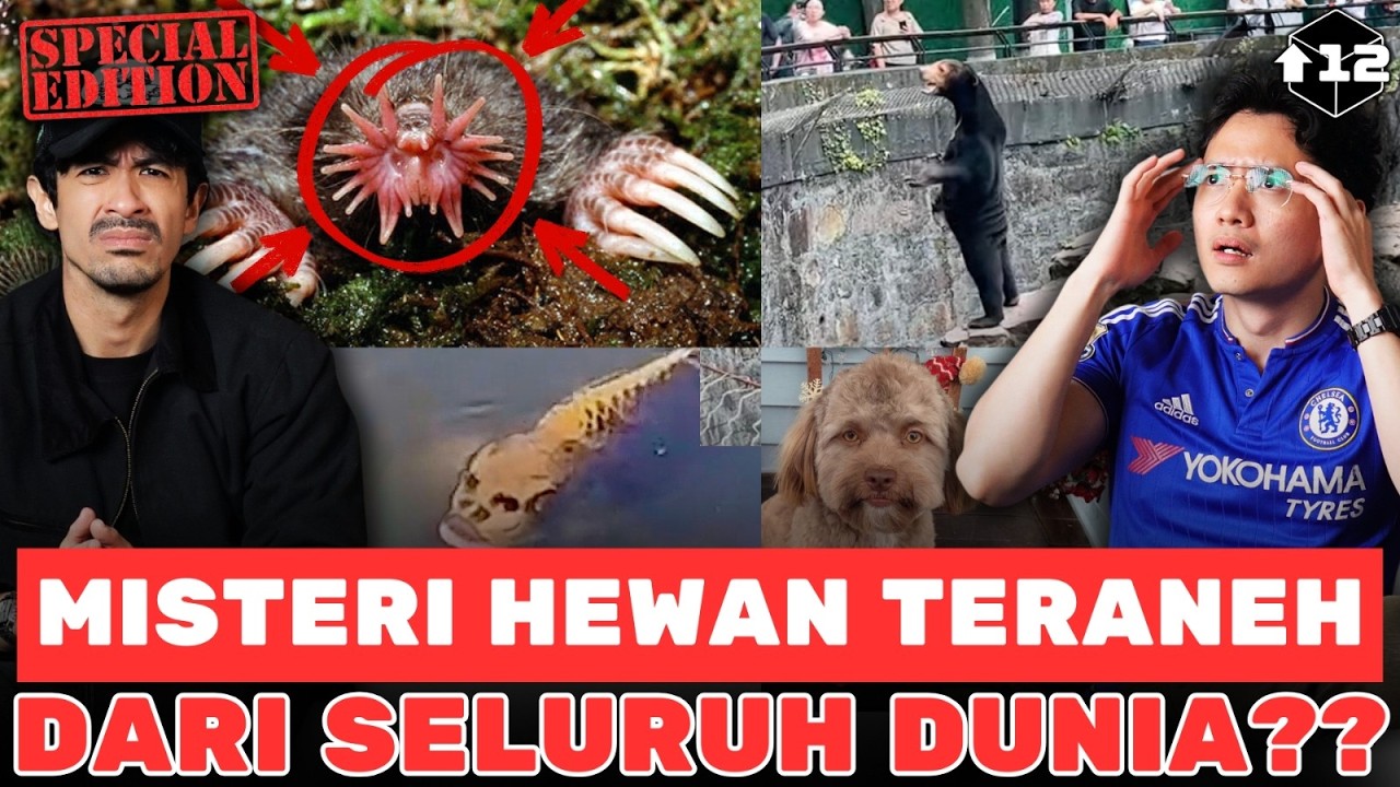 MISTERI HEWAN TERANEH DI SELURUH DUNIA?? cover art