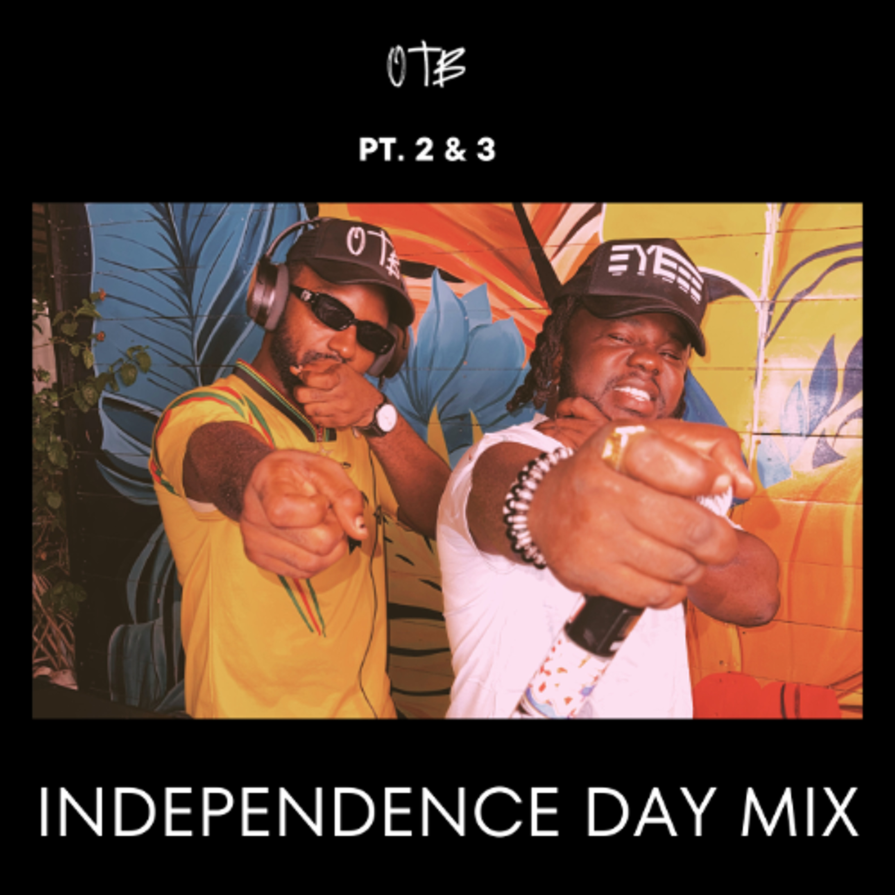 DJ Lord OTB & Mc Viperlino - Independence Day Mix Pt.2 cover art
