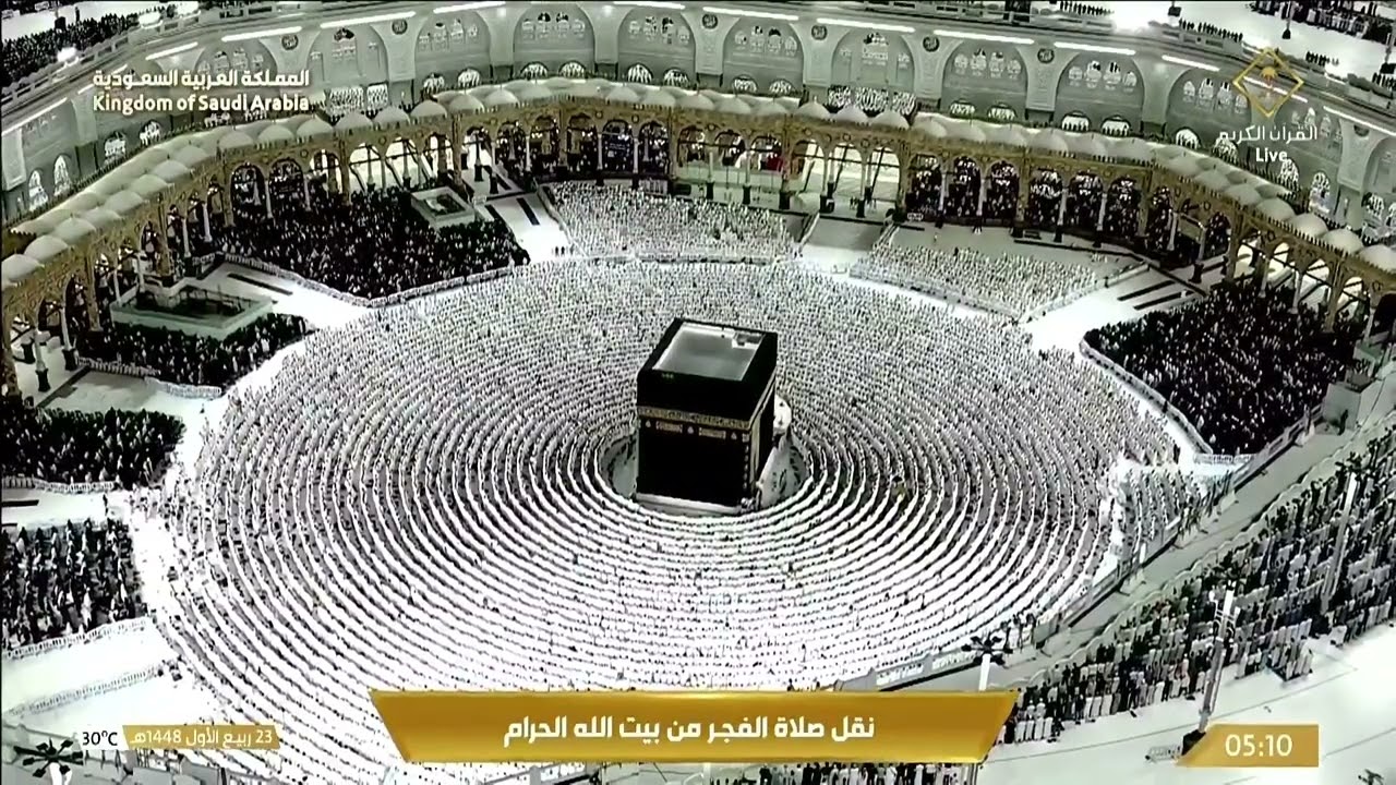 ترتيل حجازي أخّاذ لسورتي الفجر والبلد للشيخ بدر التركي من #المسجد_الحرام فجر ٢٣-٣-١٤٤٨هـ cover art