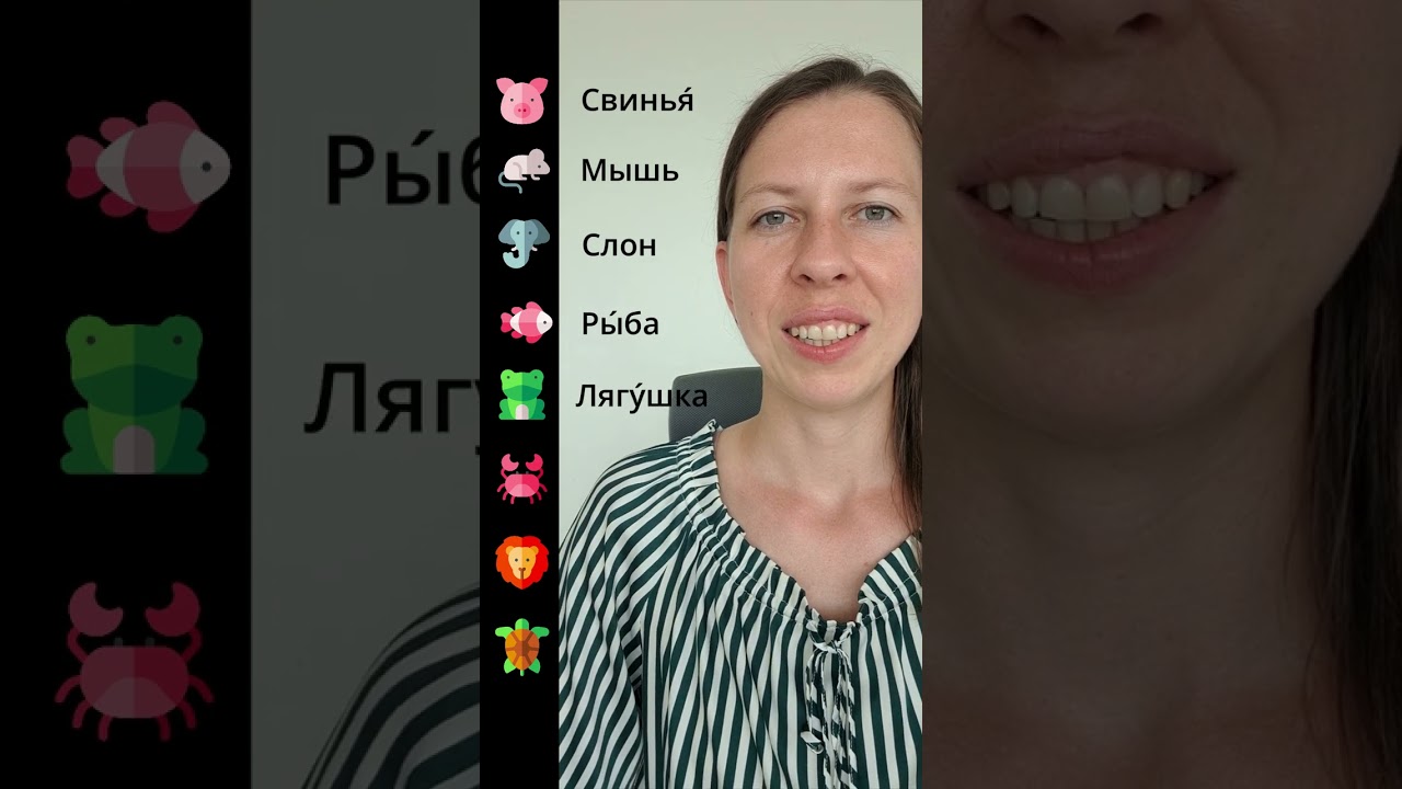 Animals in Russian cover art
