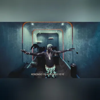 TML Vibez - Diamond or Gold (Visualizer) cover art