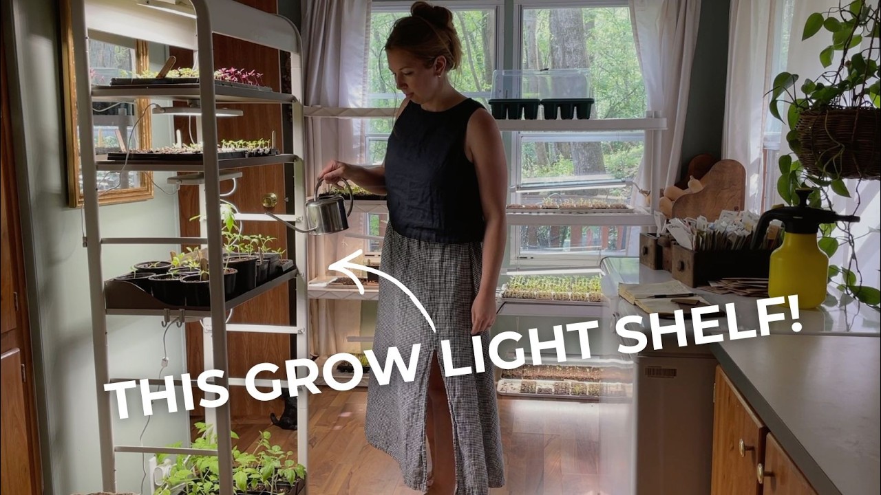 Growing Food in Small Spaces | The Vego Grow Shelf cover art