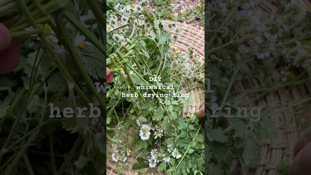 I’ll just be in my garden making these all summer ✨ cover art