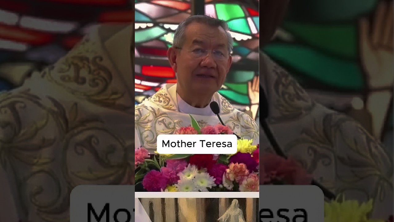 You Can Be Like Mother Teresa cover art