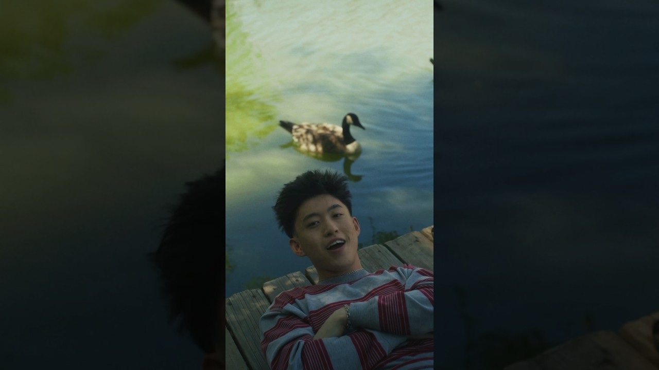 these ducks are my friends and I love them cover art