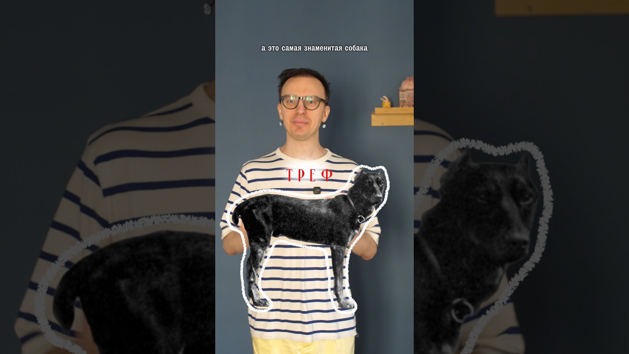 Новый выпуск о собаках-сыщиках уже на канале cover art
