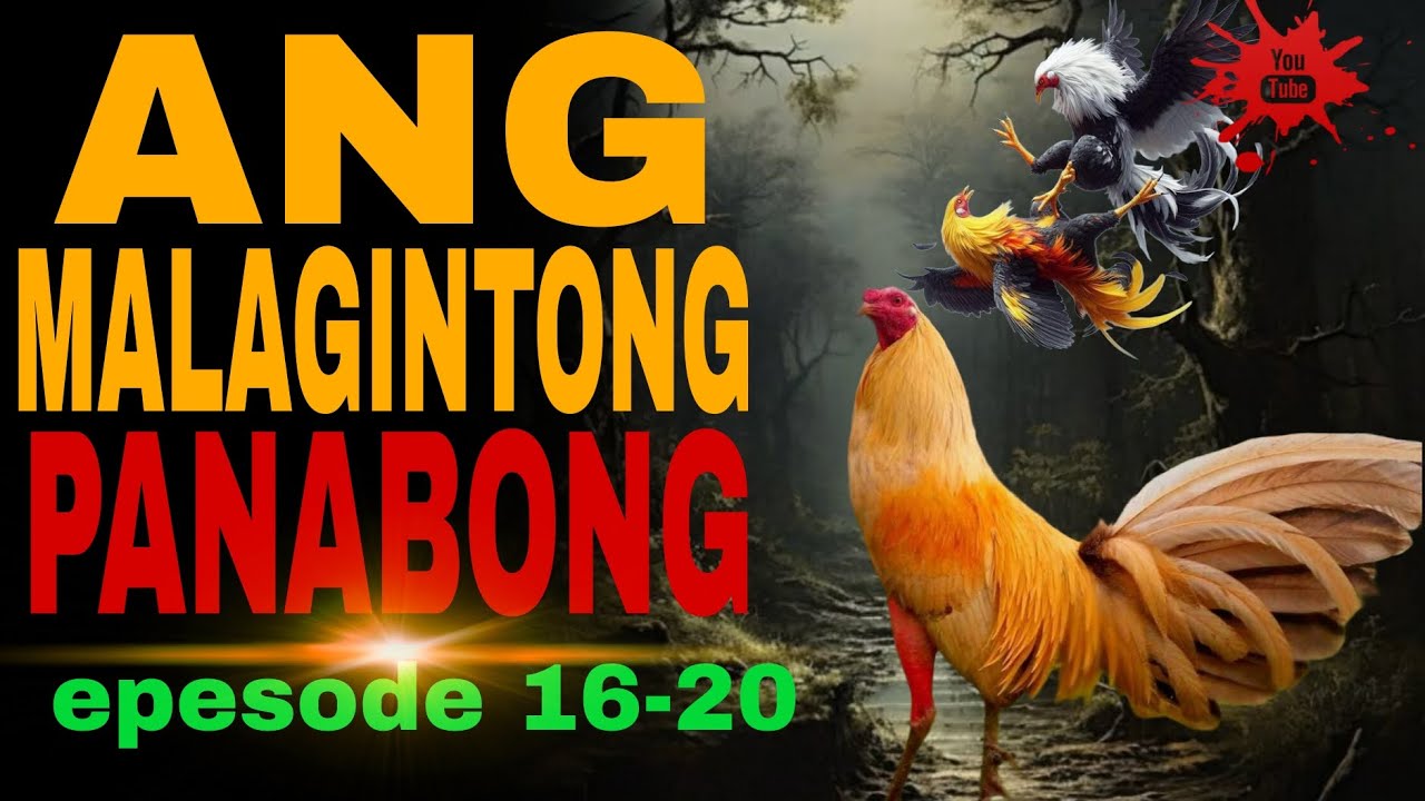 ANG HARI NG SABUNGAN I MALAGINTONG PANABONG I 16-15 I TAGALOG STORIES cover art