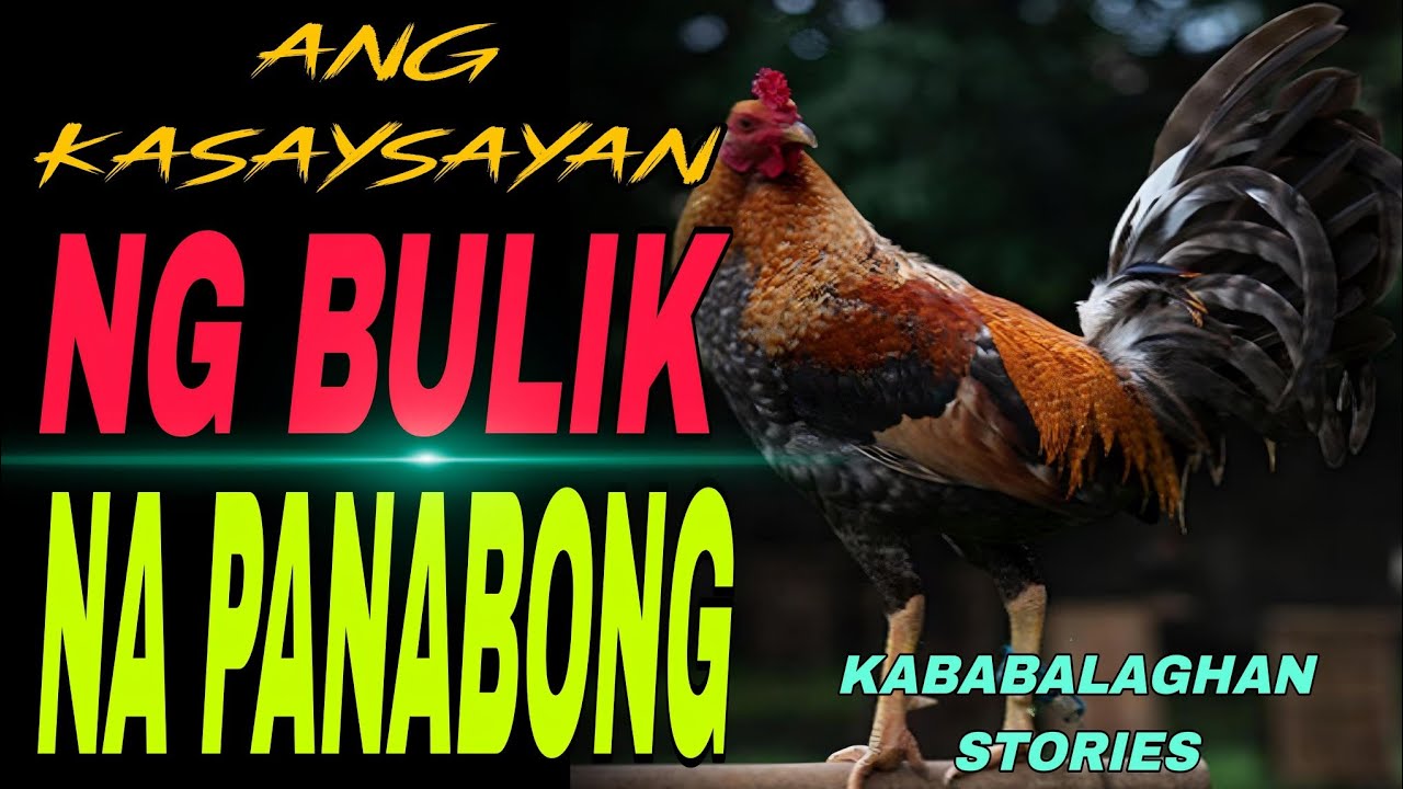 ANG KASAYSAYAN NG  PANABONG SA PALAYAN I TAGALOG TRUE STORIES I KABSBALAGHAN TRUE STORIES FULL STORY cover art