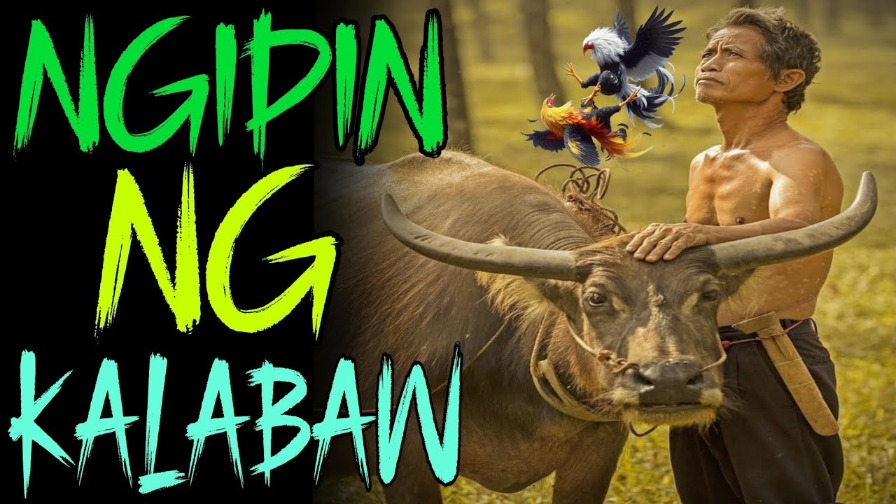 NGIPIN NG KALABAW I BUONG KWENTO I TAGALOG STORIES I KABABALAGHAN PH cover art