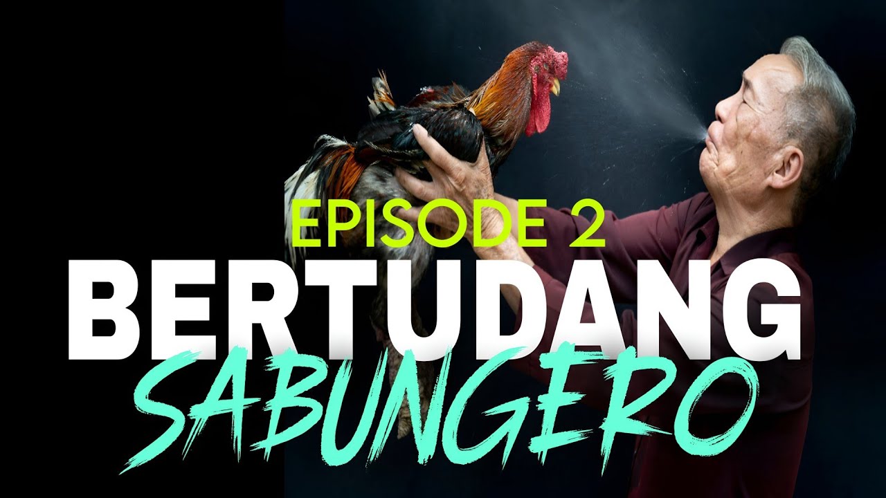 EPISODE 2 I TAGALOG TRUE STORIE I BERTUDANG SABUNGERO I TRUE BERTUD STORY cover art