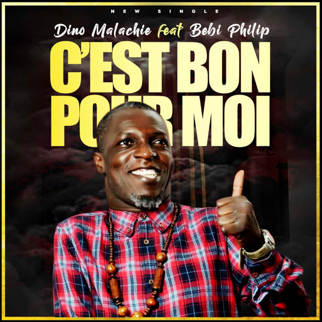 C'est Bon Pour Moi cover art