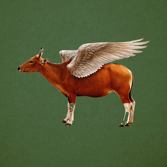GENEROUS cover art