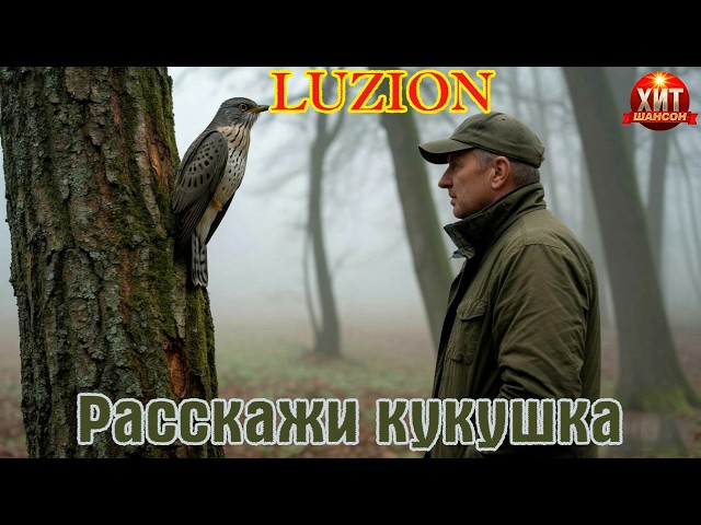 Премьера! Обалденный Шансон! РАССКАЖИ КУКУШКА  -  LUZION (Дм.  Лузгин) cover art