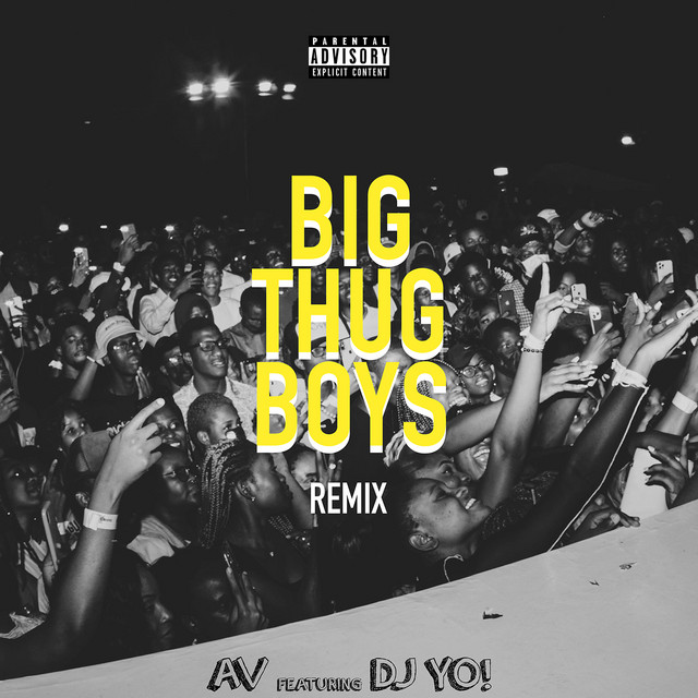 Big Thug Boys (Dj Yo! Remix) cover art