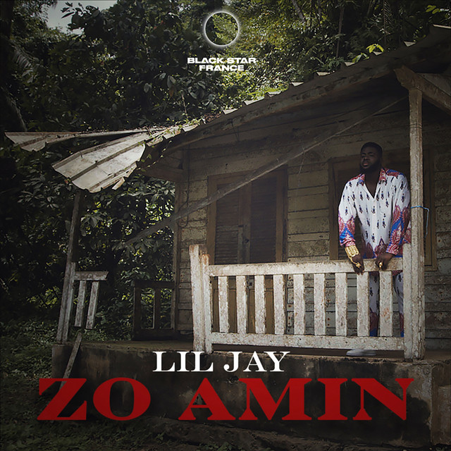 Zo Amin cover art
