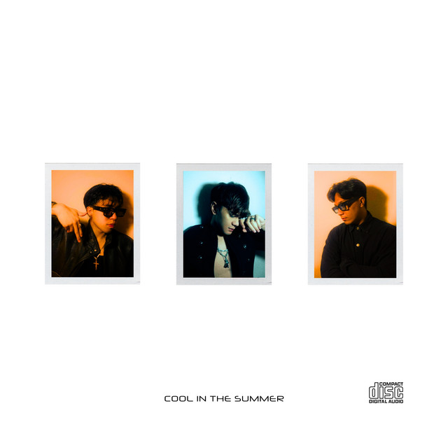 cool in the summer cover art