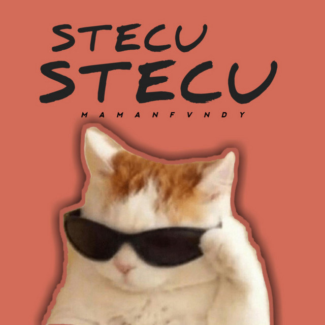 Stecu Stecu cover art