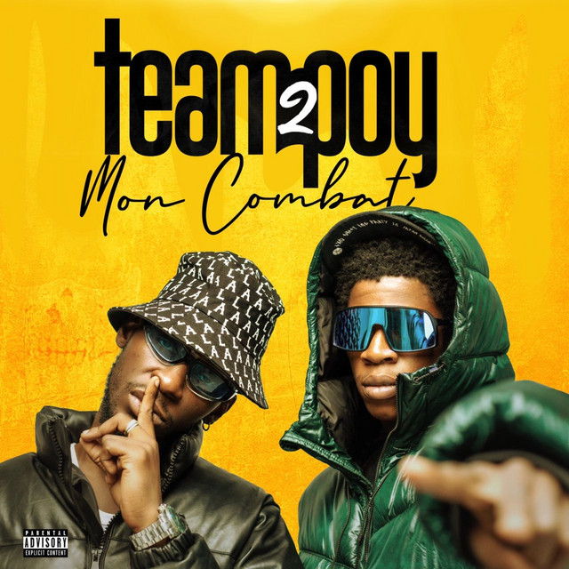 Mon combat cover art