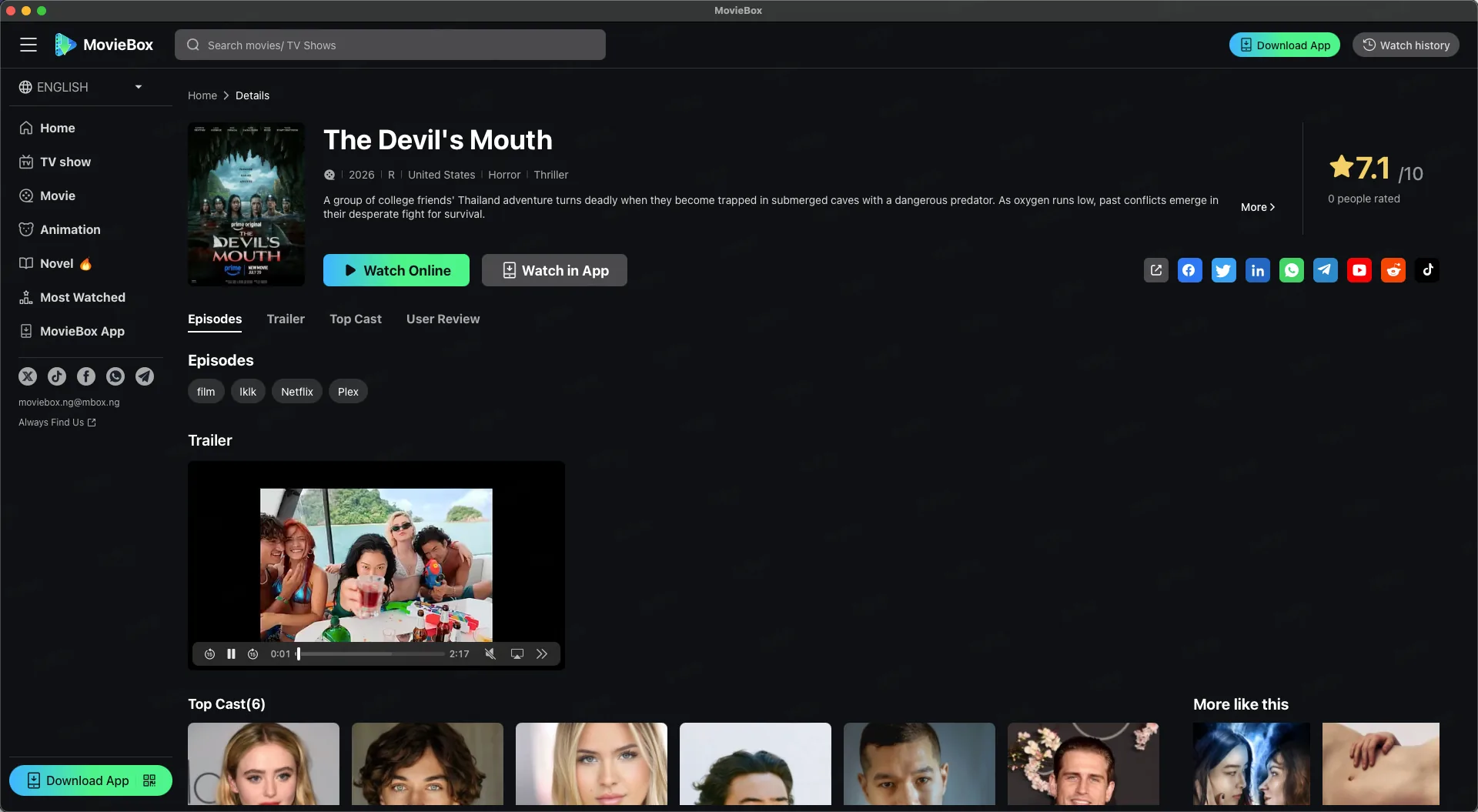 MovieBox detail page on PC