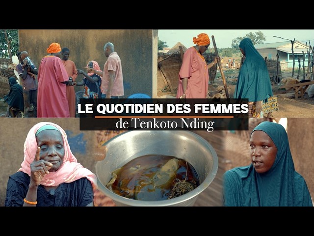 Reportage: Le quotidien difficile des femmes de Tenkoto Nding... cover art